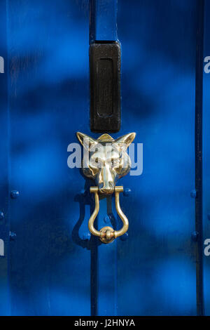 Fox porta testa respingente su un dipinto di blu porta in legno. Cotswolds, Inghilterra Foto Stock