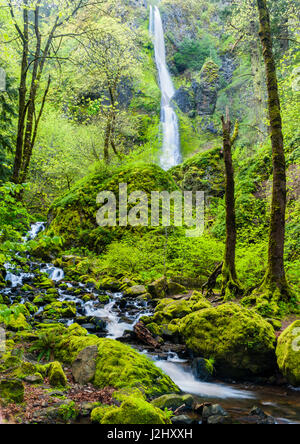 Stati Uniti d'America, Oregon, Wahkeena Falls. Situato lungo la I-84, il Columbia River Gorge Scenic Area è famosa per i suoi ruscelli e cascate. Foto Stock