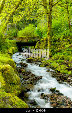 Stati Uniti d'America, Oregon, Wahkeena Falls. Situato lungo la I-84, il Columbia River Gorge Scenic Area è famosa per le sue cascate. Foto Stock