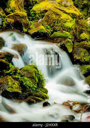 Stati Uniti d'America, Oregon, Wahkeena Falls. Situato lungo la I-84, il Columbia River Gorge Scenic Area è famosa per le sue cascate. Foto Stock