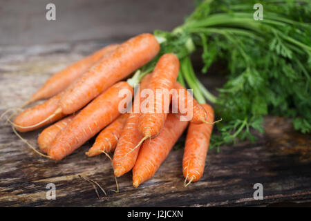 FreshCarrot su sfondo di legno Foto Stock