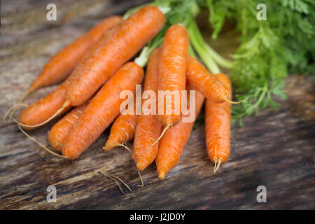 FreshCarrot su sfondo di legno Foto Stock