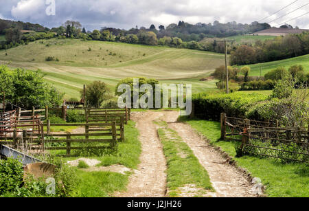 Paesaggio di primavera nella Chiltern Hills in Inghilterra con la fattoria via tra i campi Foto Stock