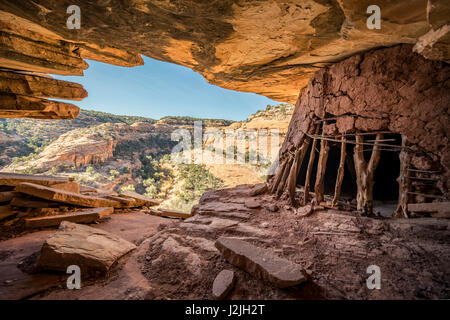 Indian rovine nel Canyon Road, cedro nell'area di Mesa, Utah. Porta le orecchie monumento nazionale. Foto Stock