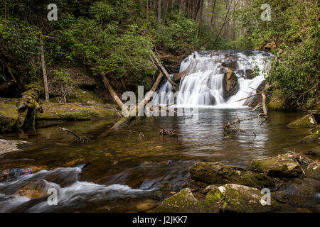 Duke's Creek è creato dalla combinazione di poco spazio bassa di diramazione e di recare Den Creek nel North Georgia montagne fuori Helen. È velocemente unite da Dodd Creek e poi fluisce generalmente verso sud fino a che non si svuota nel fiume Chestateee nella contea di bianco. Duke's Creek è ben noto per la sua pesca alla trota. Foto Stock