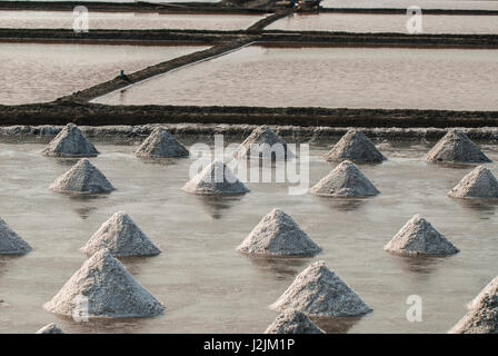 Salamoia sale raccolto in cumuli e allineati per il confezionamento e la vendita, Samut Sakhon, Thailandia Foto Stock