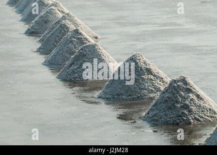 Salamoia sale raccolto in cumuli e allineati per il confezionamento e la vendita, Samut Sakhon, Thailandia Foto Stock