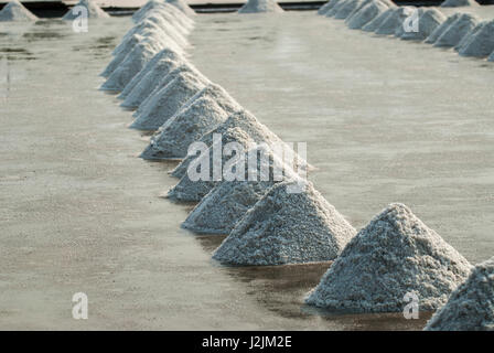 Salamoia sale raccolto in cumuli e allineati per il confezionamento e la vendita, Samut Sakhon, Thailandia Foto Stock