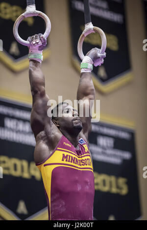 West Point, NY, STATI UNITI D'AMERICA. 22 apr, 2017. Aprile 22, 2017: Minnesota Golden i Gopher ginnasta Jalon Stephens compete anelli durante il 2017 collegiale nazionale MenÃ¢â'¬â"¢s ginnastica campionati a Holleder CenterÃ¢â'¬â"¢s Christl Arena di West Point, New York. Credito: Scott Taetsch/ZUMA filo/Alamy Live News Foto Stock