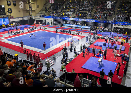 West Point, NY, STATI UNITI D'AMERICA. 22 apr, 2017. 22 aprile 2017: una vista dell'arena durante il 2017 collegiale nazionale MenÃ¢â'¬â"¢s ginnastica campionati a Holleder CenterÃ¢â'¬â"¢s Christl Arena di West Point, New York. Credito: Scott Taetsch/ZUMA filo/Alamy Live News Foto Stock