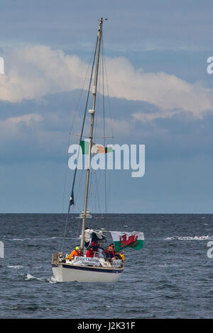 Aberystwyth, Wales, Regno Unito. La partecipazione longboats, team e sostenere barche arrivano in Aberystwyth dopo un estenuante per tutta la notte di viaggio attraverso il mare irlandese. Il Celtic sfida è la più lunga del mondo vera gara di canottaggio in cui le squadre in gara da Arklow nella contea di Wicklow, Irlanda a Aberystwyth sulla costa gallese, una distanza di circa 90 miglia nautiche. Celtic e Pembrokeshire longboats prendere parte . In questa foto il Ocean partecipante, l'imbarcazione di appoggio per il Aberystwyth Uomini Squadra, Foto Stock