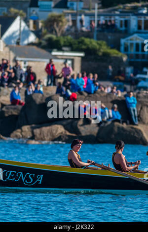 Isole Scilly, UK. 28 apr, 2017. Vincitori Kensa durante la loro gara con gli spettatori in background. Credit: Ed Marshall / Alamy Live News Foto Stock