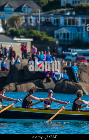 Isole Scilly, UK. 28 apr, 2017. Vincitori Kensa durante la loro gara con gli spettatori in background. Credit: Ed Marshall / Alamy Live News Foto Stock