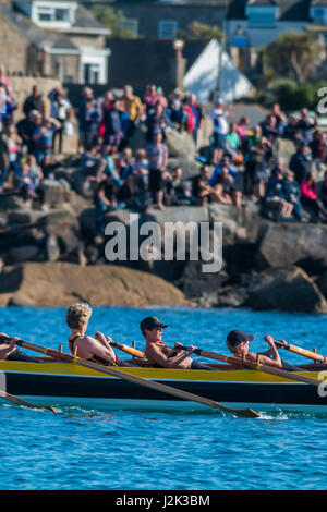 Isole Scilly, UK. 28 apr, 2017. Vincitori Kensa durante la loro gara con gli spettatori in background. Credit: Ed Marshall / Alamy Live News Foto Stock