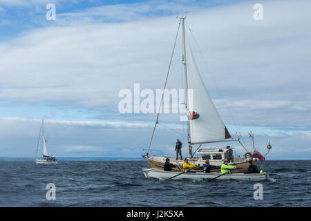 Mare irlandese, UK. 29 aprile 2017 Aberystwyth mens rowing team competere nel 2017 Celtic sfida tutta sul mare irlandese, che ha cominciato ad Arklow in Irlanda con la linea del traguardo a Aberystwyth Harbour entrata nel Galles. Le squadre remato circa 96 miglia attraverso la notte nel mare d' Irlanda. Ogni squadra è composta da dodici vogatori, alternandosi in gruppi di quattro per fila, mentre una nervatura di supporto (barca) li trasferisce a e da un accompagnamento yacht. © Ian Jones/Alamy Live News Foto Stock