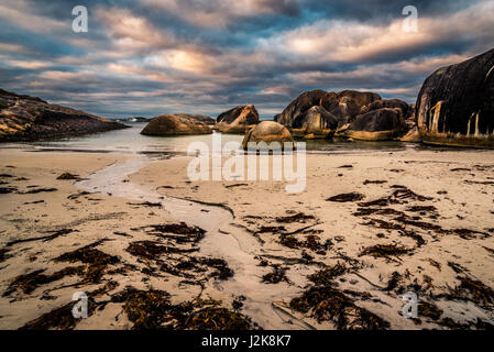 Elephant Rocks a William Bay National Park, Australia occidentale. Foto Stock