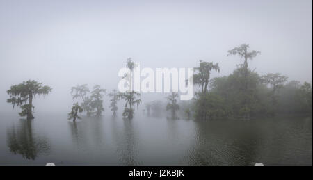 Il lago di Martin la mattina presto il paesaggio nella nebbia Foto Stock