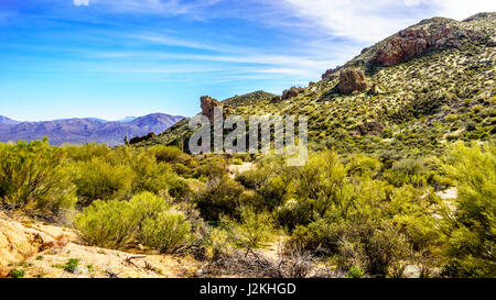 Splendido scenario desertico nel deserto dell'Arizona di Tonto Nationa foresta nella zona del Lago di Bartlett, Arizona, Stati Uniti. Foto Stock