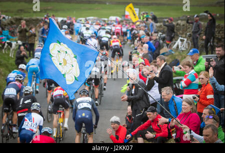 Ciclo di concorrenti fino la Cota de Lofthouse durante la fase due del Tour de Yorkshire. Foto Stock