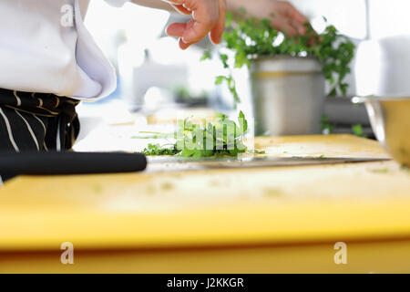 Chef in hotel o al ristorante Cucina Cucina Foto Stock