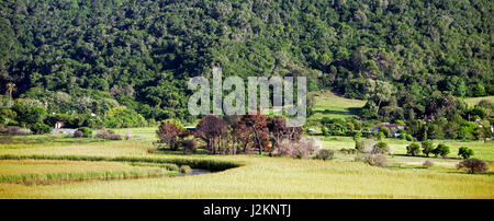 Fiume a serpentina Wilderness National Park Garden Route del Sud Africa Foto Stock