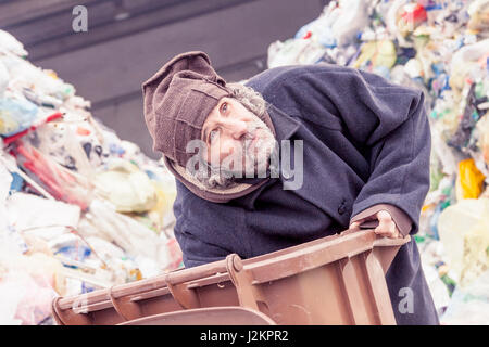 Senzatetto rummages nella pattumiera di discariche Foto Stock