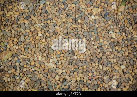 Sfondo con secco pietre rotonde Foto Stock