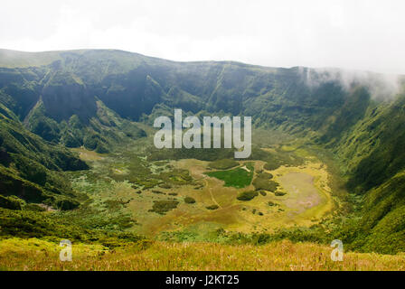 Vista nel cratere vulcanico, Calderia do Faial, isola di Faial, Azzorre Foto Stock