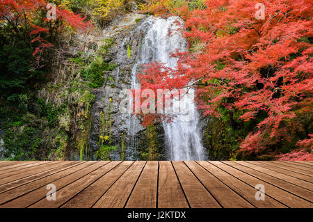 Sul legno bella cascata in autunno sfondo Foto Stock