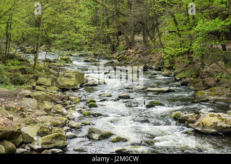 Paesaggio con fiume Bode nella zona di Harz in Germania. Foto Stock