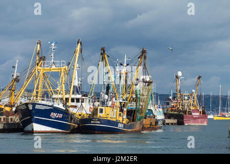 Barche da pesca ormeggiate nel porto di Brixham, Devon, Regno Unito Foto Stock