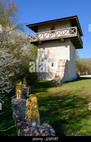 Limes, tigli torre in Erkertshofen vicino Titting, Altmuehltal riserva naturale, Alta Baviera, Baviera, Germania Foto Stock