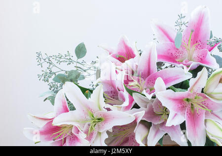 Bouquet di gigli rosa su sfondo bianco. Foto Stock