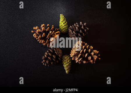 Collezione di coni Foto Stock