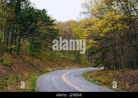 Colore delle molle lungo la Blue Ridge Parkway in Virginia. Foto Stock