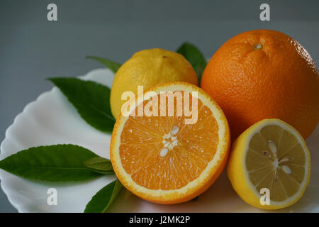 Organici di arancia e di limone sulla piastra bianca con lo sfondo grigio - isolato Foto Stock