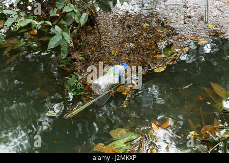 Un impiegato di acqua in bottiglia galleggiante sul Ratargul acqua fresca palude foresta. Si tratta di un interessante ed emozionante per il turista avventuroso. Sylhet, Foto Stock