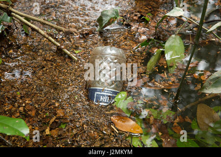 Un impiegato di acqua in bottiglia galleggiante sul Ratargul acqua fresca palude foresta. Si tratta di un interessante ed emozionante per il turista avventuroso. Sylhet, Foto Stock