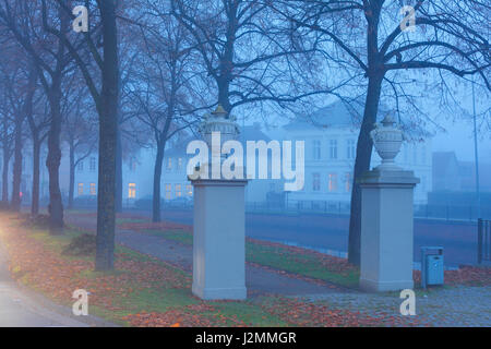 Avenue Paradewall in autunno con la nebbia al tramonto, Oldenburg in Oldenburg, Germania ho Allee Paradewall mit Nebel im Herbst bei Abenddaemmerung , Oldenburg Foto Stock