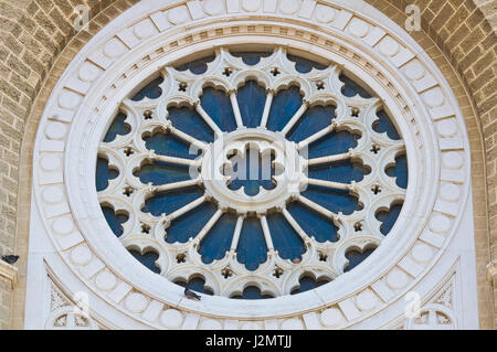 Duomo di Cerignola. La Puglia. L'Italia. Foto Stock