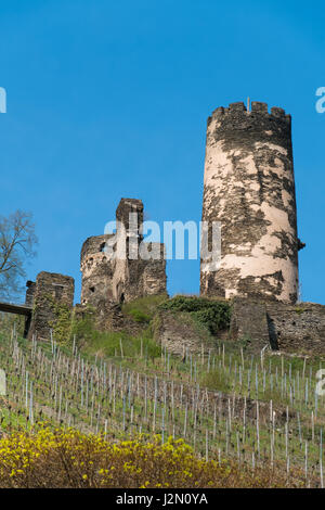 I vigneti e le rovine del castello nei pressi di Bacharach am Rhein nel quartiere Mainz-Bingen Renania-Palatinato, Germania. Foto Stock