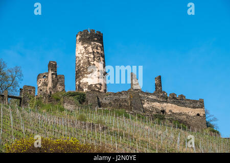 I vigneti e le rovine del castello nei pressi di Bacharach am Rhein nel quartiere Mainz-Bingen Renania-Palatinato, Germania. Foto Stock