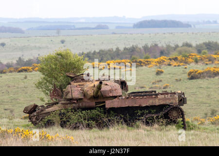 Distrutto esercito Britih cisterne su Salisbury Plain gamme Militare, Wiltshire, Inghilterra Foto Stock