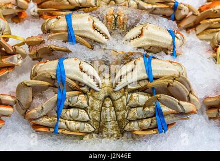 Dungeness, del granchio in vendita su un mercato del pesce Foto Stock