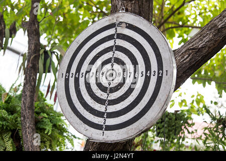Vecchia scheda dart appeso a un albero, che mostra segni di ben utilizzati Foto Stock