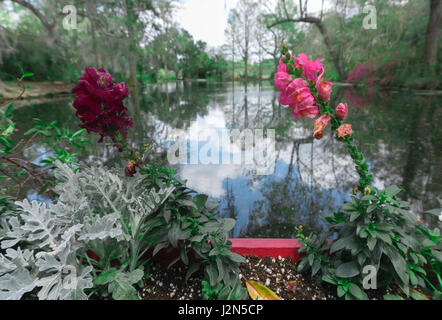 Questo è il punto di vista di una tranquilla laguna che riflette il cielo di nuvole, circondato da alberi e in primo piano ci sono rosa e fiori viola. Foto Stock