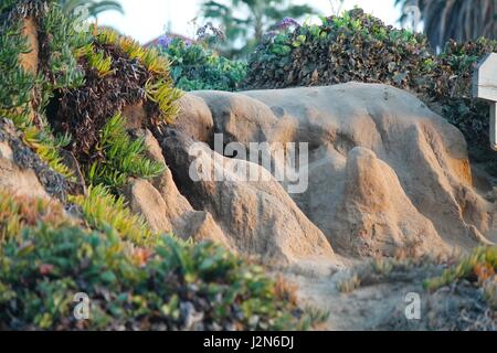 La Jolla Cove al tramonto Foto Stock