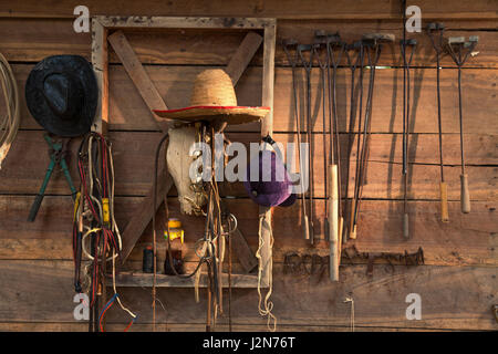 Fattoria degli animali strumenti di branding e di vari altri strumenti, tra cui diversi tipi di cappelli, appeso a un granaio della parete in legno Foto Stock