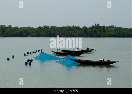 I pescatori la cattura di gamberetti giovani sul fiume Kholpetua in la Sundarbans. Satkhira, Bangladesh. Foto Stock