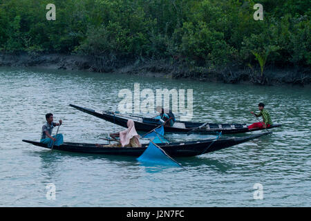 I pescatori la cattura di gamberetti giovani sul fiume Kholpetua in la Sundarbans. Satkhira, Bangladesh. Foto Stock